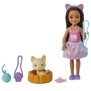 Barbie Chelsea Doll & Pet Kitten With Accessories