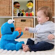 Sesame Street Animated Peek-A-Boo Cookie Monster