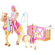 Barbie Groom 'n Care Doll & Horse Playset