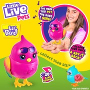 Little Live Pets Lil' Bird Fashion Wings Pippy Hippy