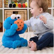 Sesame Street Animated Peek-A-Boo Cookie Monster