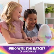 Hatchimals Alive Mystery Hatch Pufficorn