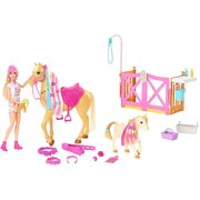 Barbie Groom 'n Care Doll & Horse Playset