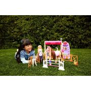 Barbie Mysteries: The Great Horse Chase Ultimate Stable Playset HXJ44