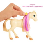 Barbie Groom 'n Care Doll & Horse Playset