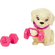 Barbie Fitness Brunette Doll Roller Skates And Tennis, with Puppy and Accessories HKT91