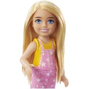 Barbie Chelsea Camping Fun Doll And Accessories HDF77