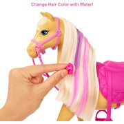 Barbie Groom 'n Care Doll & Horse Playset