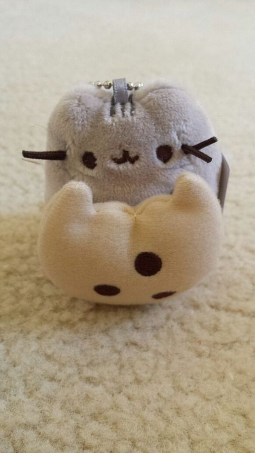 pusheen snack time