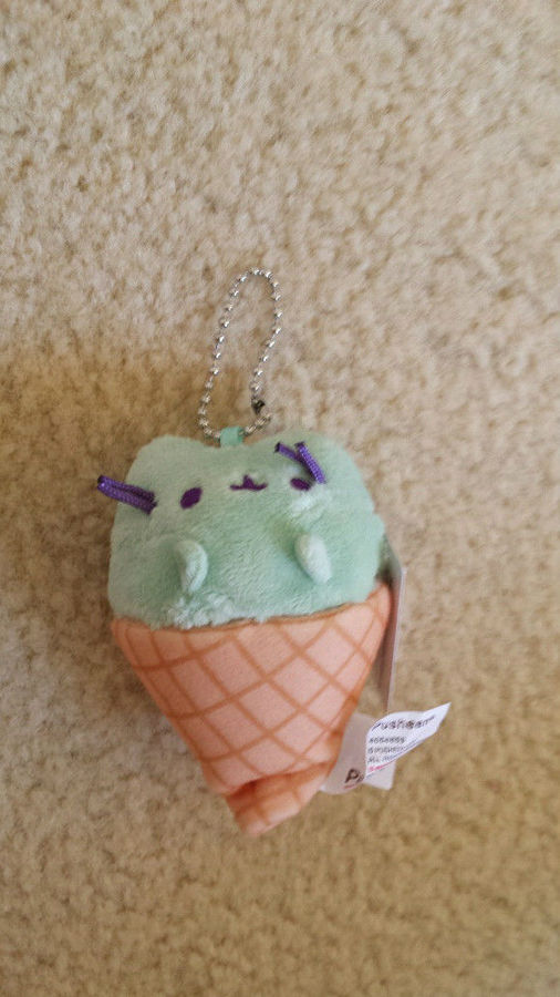 pusheen snack time